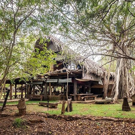 Banyan Camp Hambegamuwa Ngoại thất bức ảnh