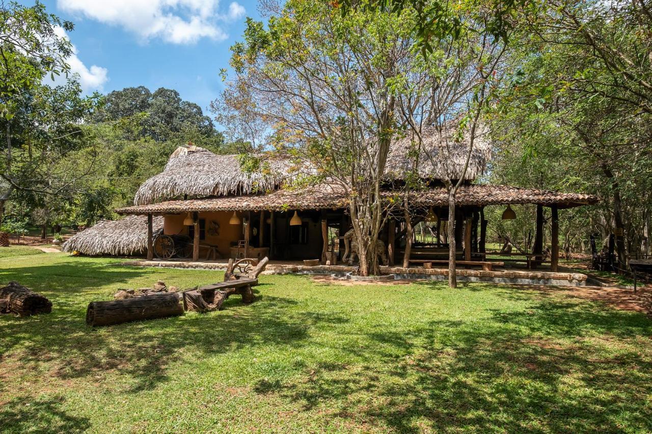 Banyan Camp Hambegamuwa Ngoại thất bức ảnh