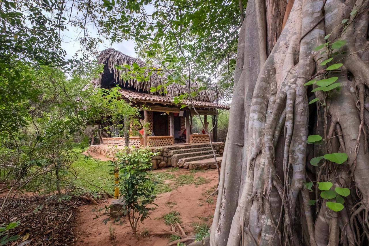 Banyan Camp Hambegamuwa Ngoại thất bức ảnh