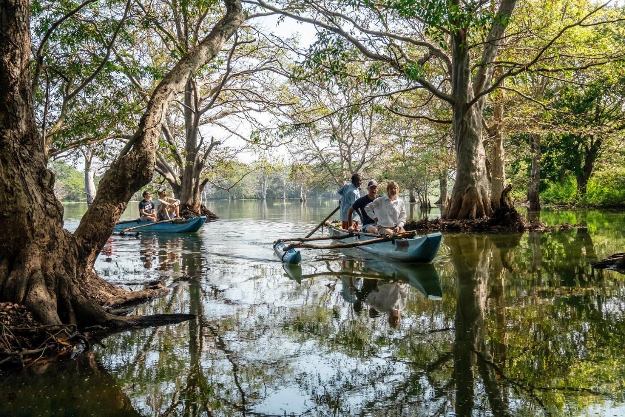 Banyan Camp Hambegamuwa Ngoại thất bức ảnh