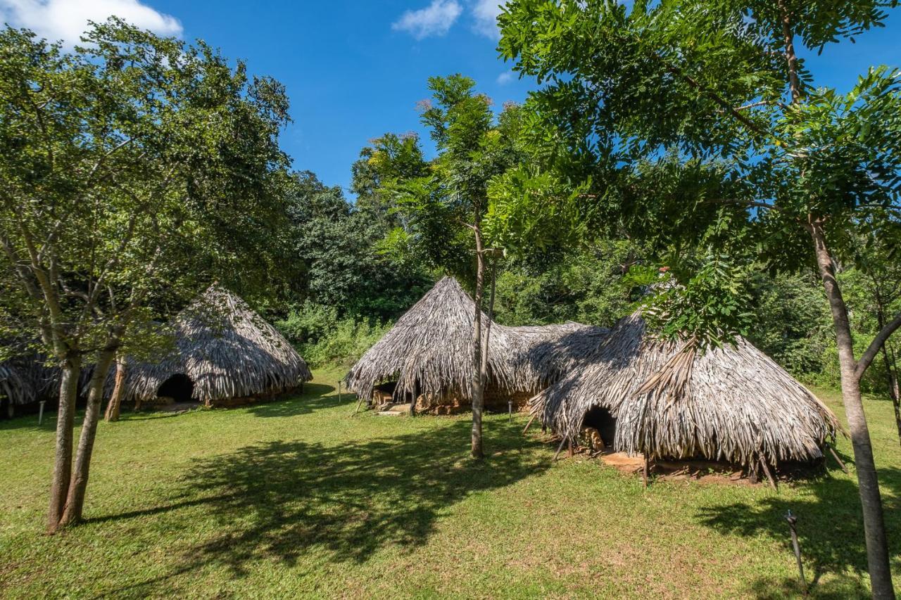 Banyan Camp Hambegamuwa Ngoại thất bức ảnh