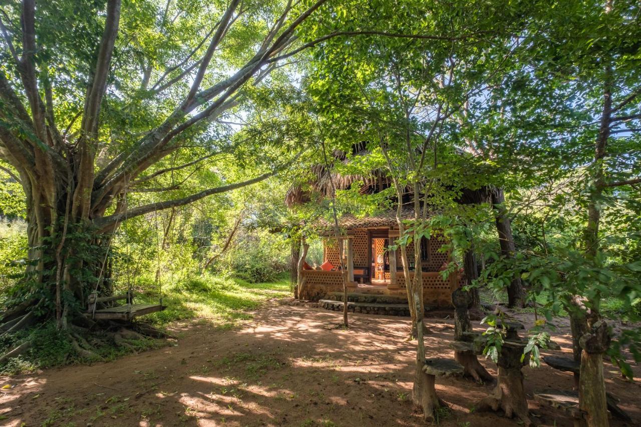 Banyan Camp Hambegamuwa Ngoại thất bức ảnh