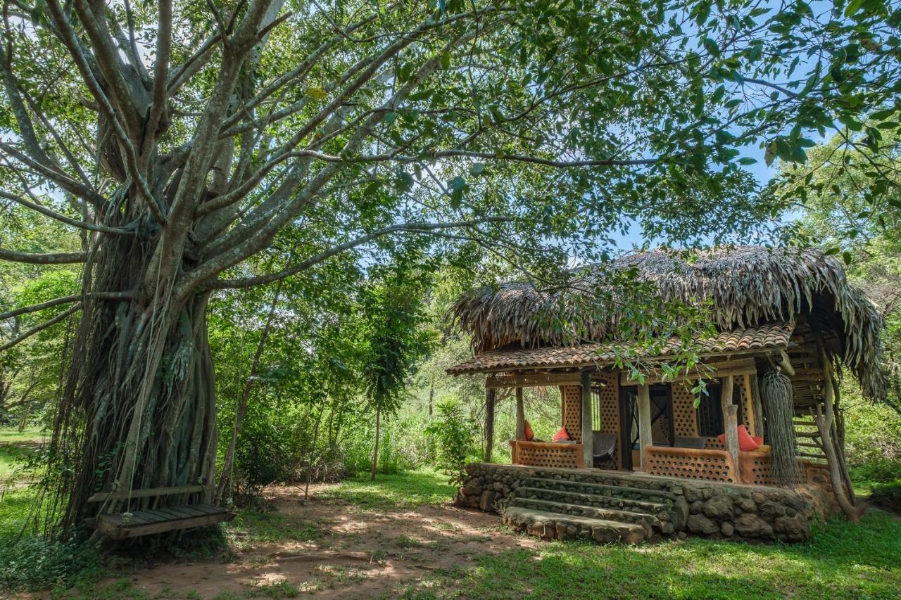 Banyan Camp Hambegamuwa Ngoại thất bức ảnh
