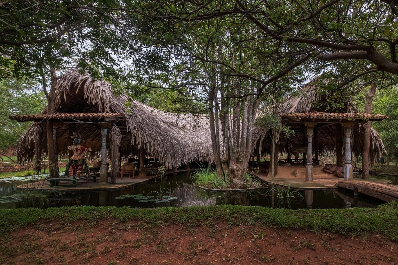 Banyan Camp Hambegamuwa Ngoại thất bức ảnh